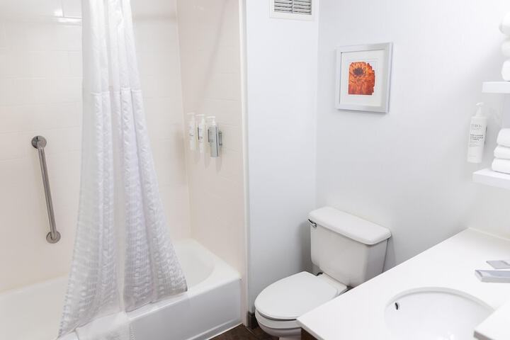 Bathroom Interior Photo