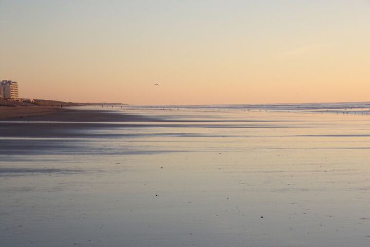 Beach 60 of 75