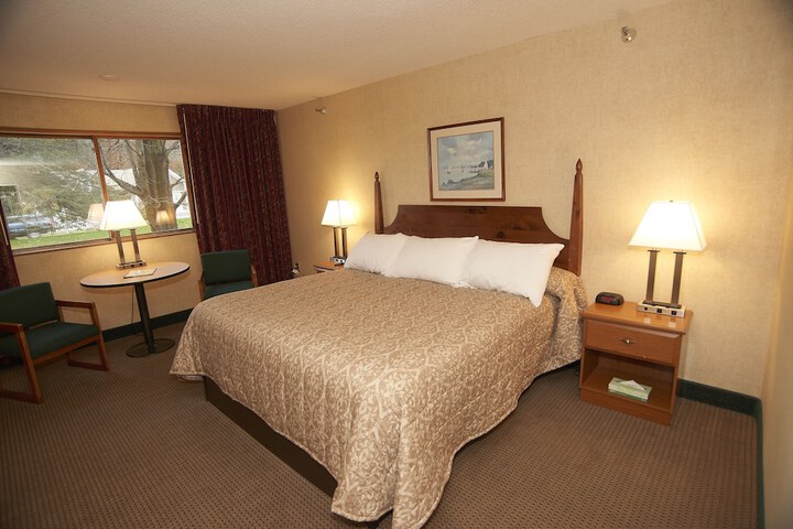 Deluxe King Bed Pet Friendly (3 of 9)
