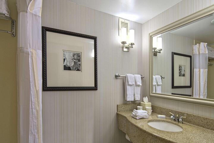 1 King Mobility Accessible with Bathtub (13 of 19)