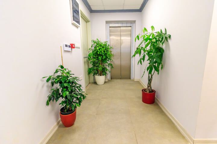 Ballroom/Hall 113 of 115