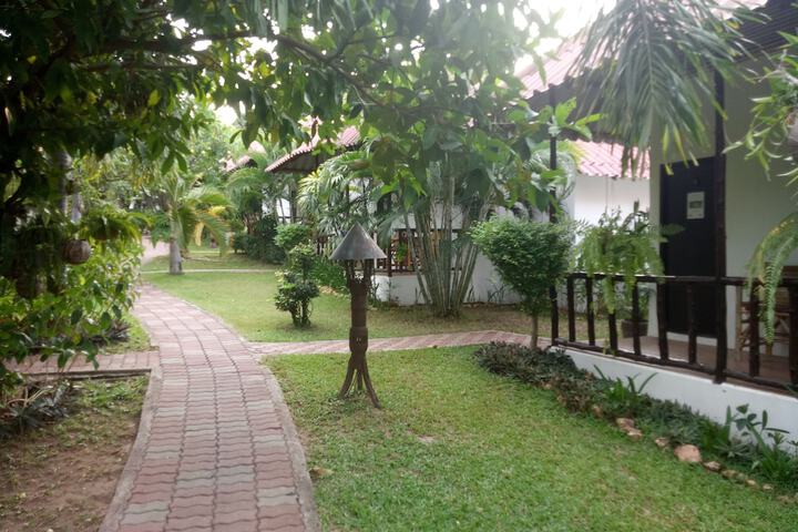 Garden view