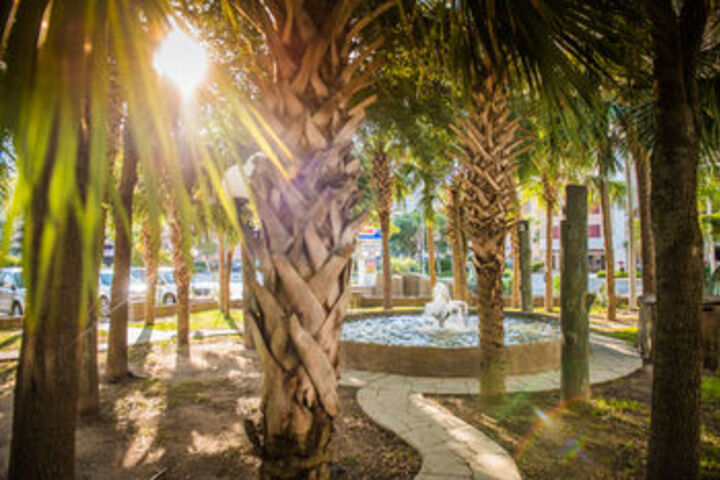 Property Grounds 58 of 63