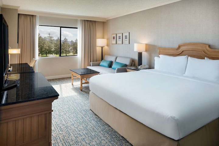 1 King Bed Mobility Accessible with Bathtub (18 of 32)