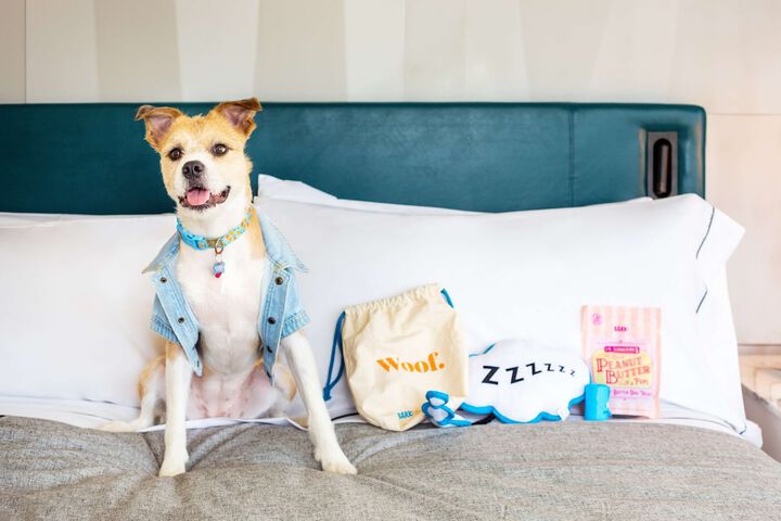 Pet-friendly amenities