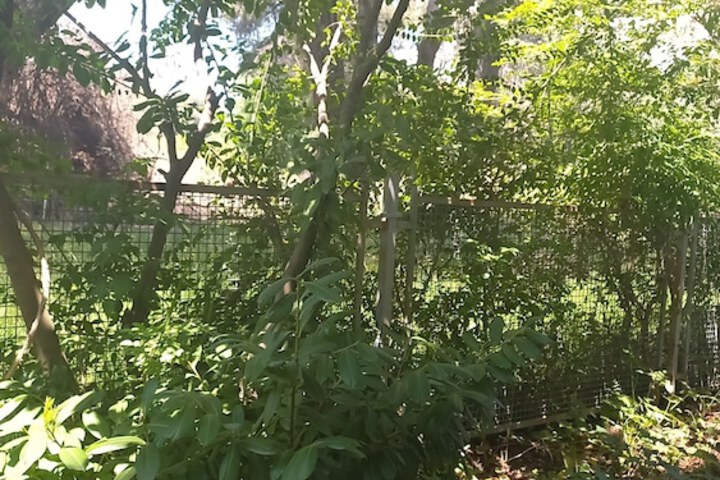 Room 16 of 25