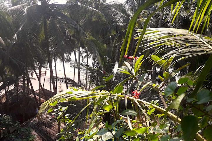 Hotel View 77 of 78