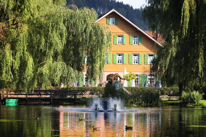 Hotel Zur alten Mühle