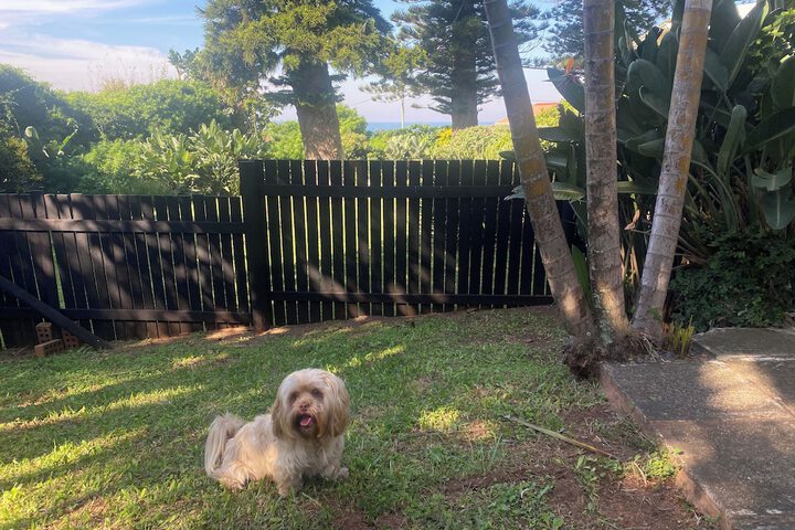 Pet Friendly 11 of 20