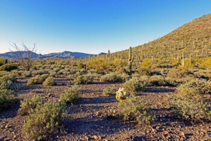 Property Grounds 15 of 23