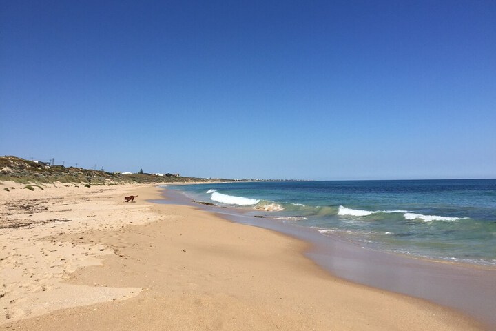 Beach 40 of 54