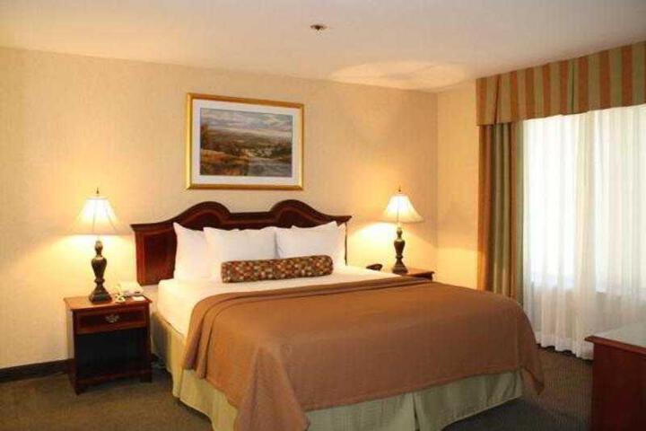 1 King Bed (8 of 8)