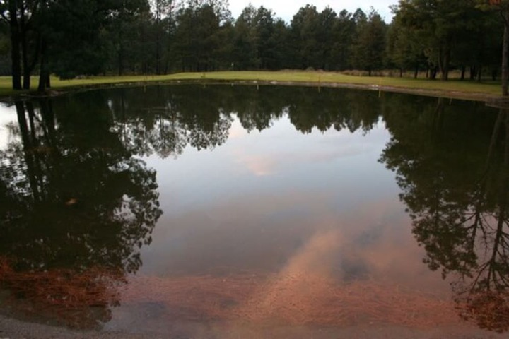 Golf 16 of 35