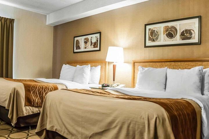 Standard Room, King or Two Doubles (3 of 5)