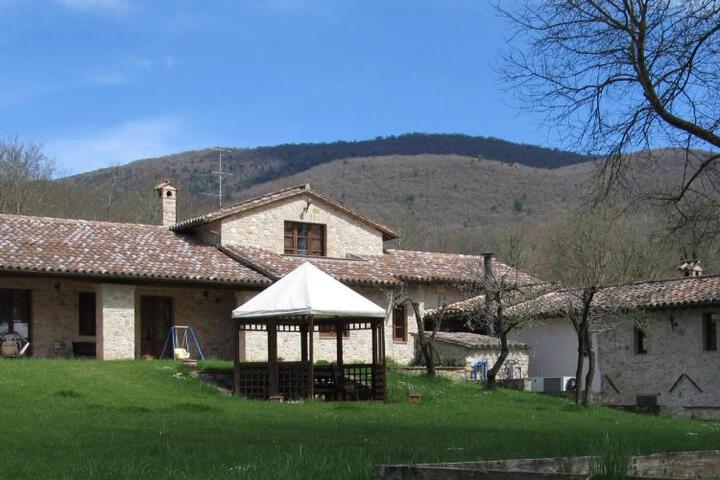 Il Vignale