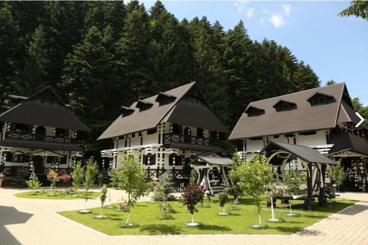 Photo of Complex Lions Bucovina