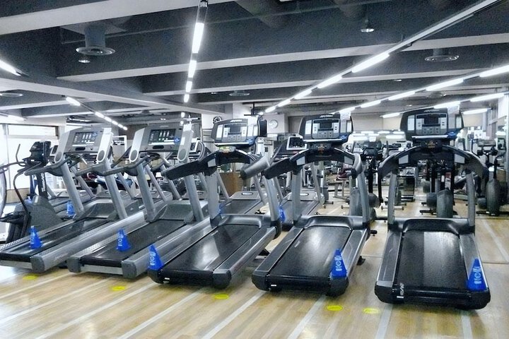 Gym & Fitness