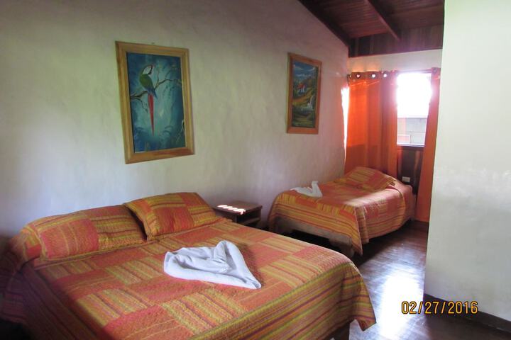 Room 16 of 57