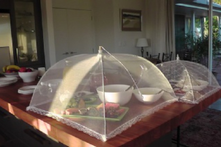 Dining 59 of 204