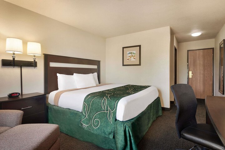 1 Queen Bed Accessible Room (13 of 13)