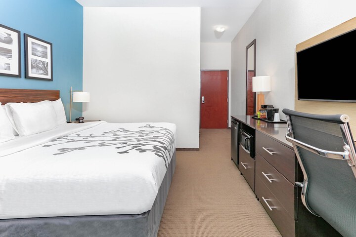 1 King Bed Deluxe Mobility Accessible Suite Roll in Shower (4 of 8)
