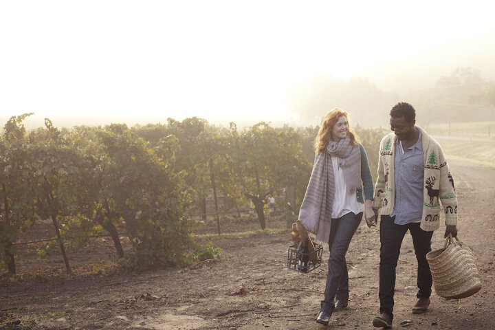 Winery