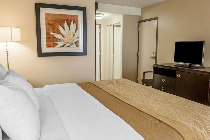 Standard | King Bed (7 of 8)