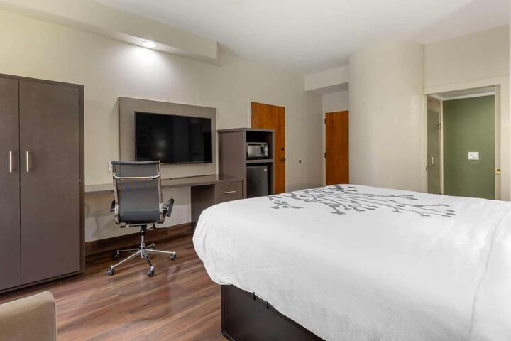 Standard | King Bed (9 of 9)