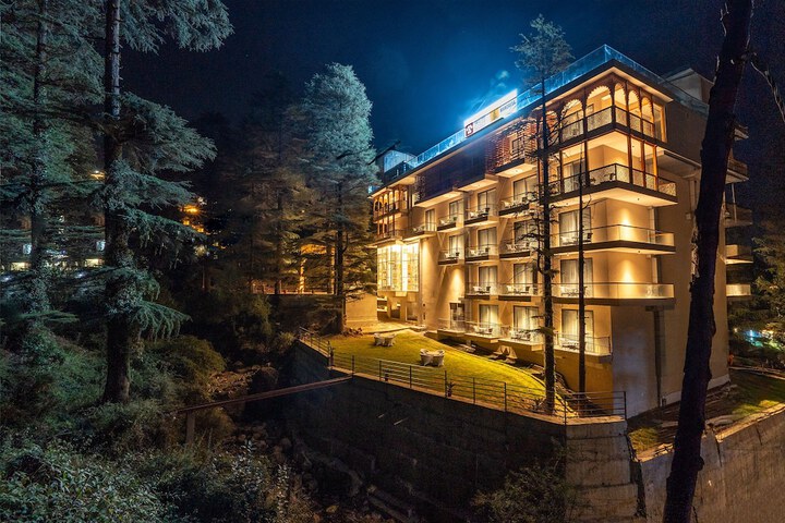 Mastiff Select Mandavya Dharamkot McLeodganj