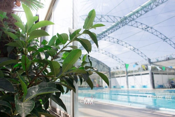 Pool 8 of 41