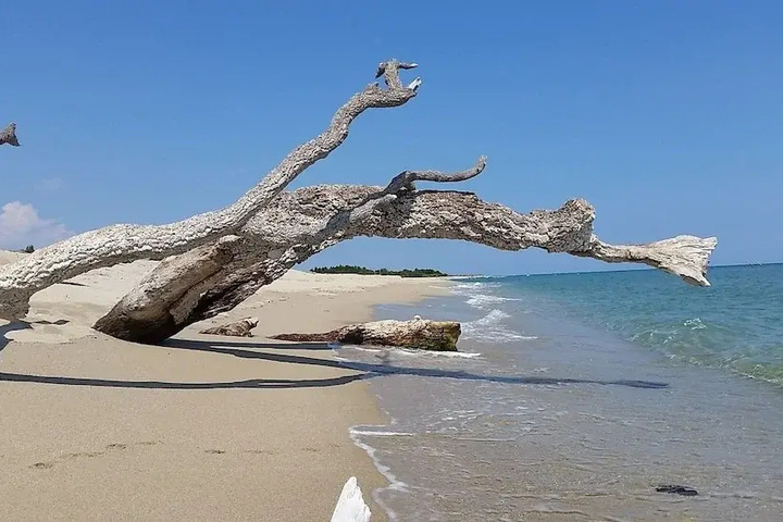 Beach 6 of 11