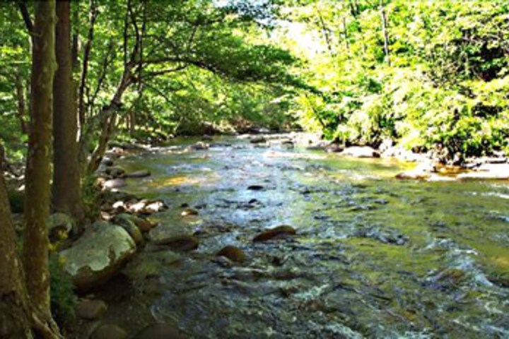 Property Grounds 18 of 27