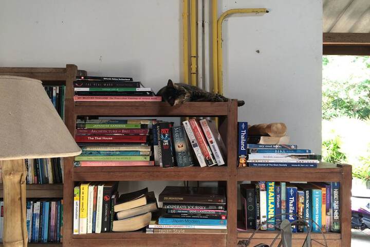 Library