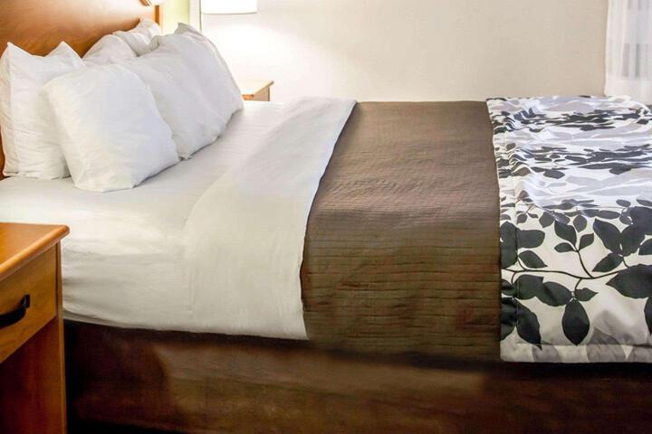 Queen Bed Accessible (12 of 15)