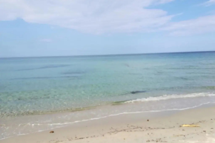 Beach 2 of 5