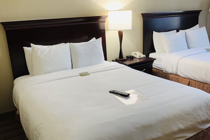 1 Bedroom Suite 2 Queen Beds (6 of 10)