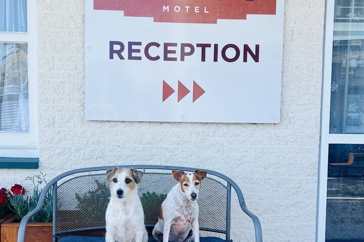Bings Motel in Blenheim