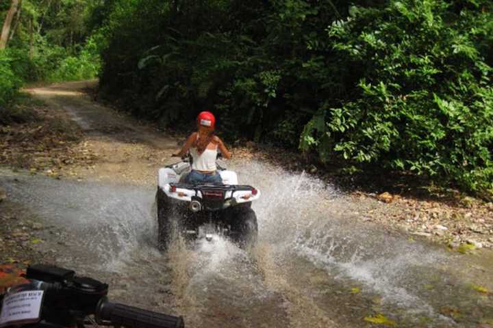 Ecotours