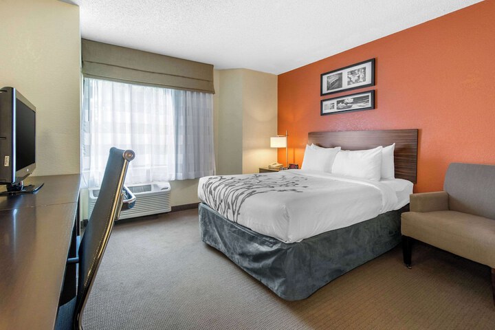 Double Accessible King Size Bed (14 of 16)
