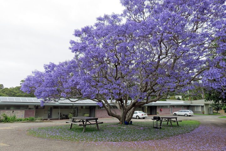Property Grounds 24 of 31
