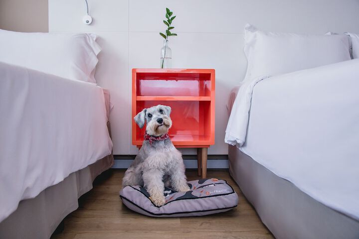 Pet-friendly