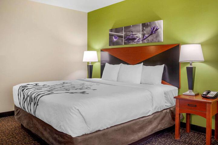 1 King Bed (16 of 16)