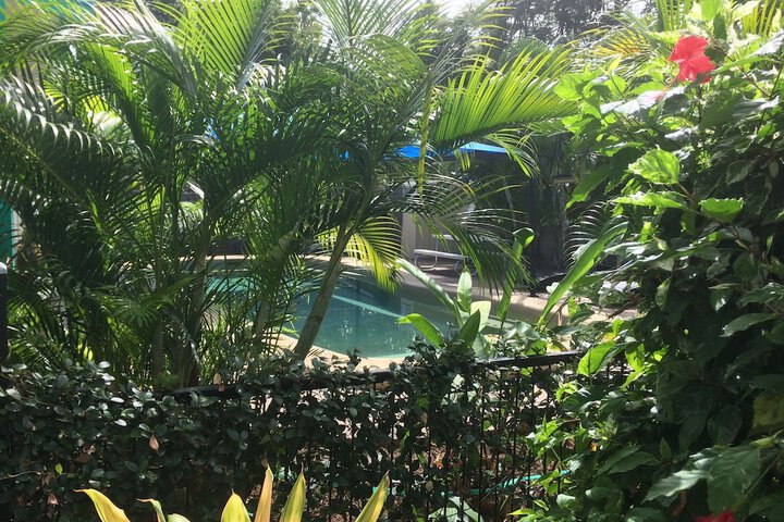 Hotel Pool