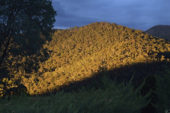 Property Grounds 11 of 22