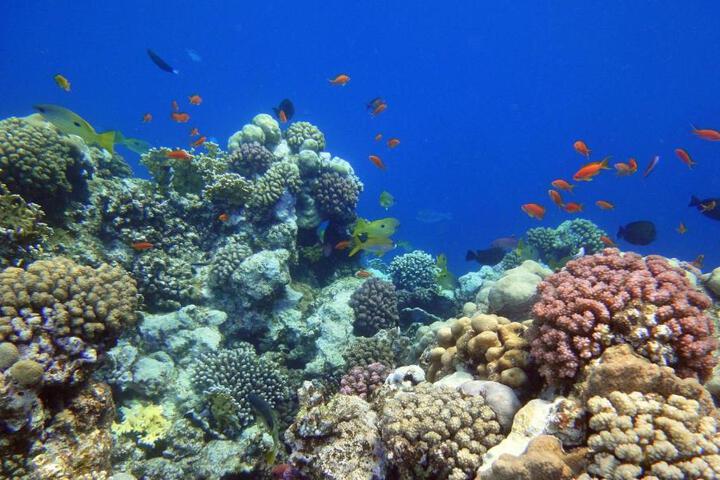 Photo 5