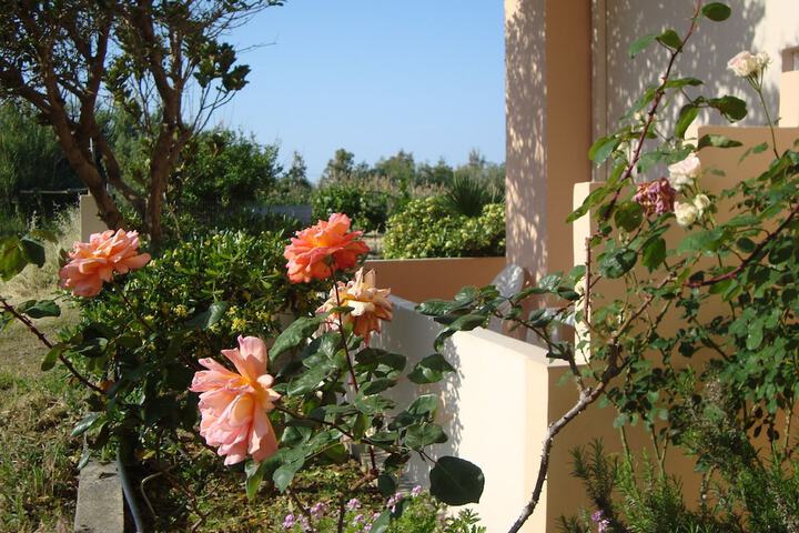 Terrace/Patio 78 of 110