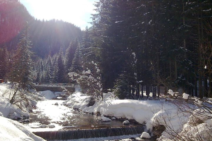 Property Grounds 56 of 72
