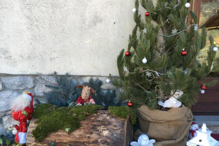 Photo 17