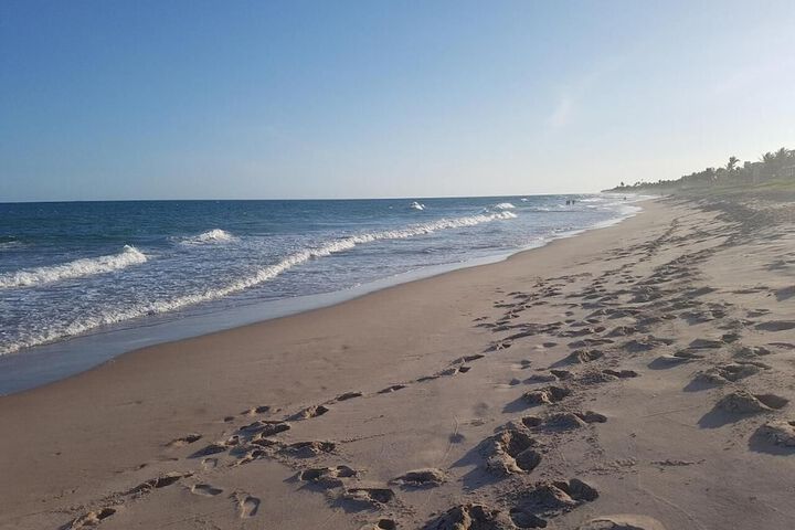 Beach 52 of 63