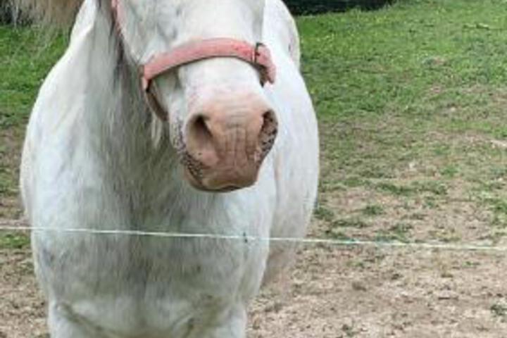 General 57 of 69